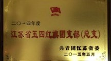 江苏省五四红旗团支部（总支）奖牌