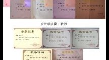 2015年专业师资队伍建设成果丰硕
