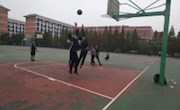 群雄涿鹿 谁主篮坛