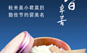 抵制舌尖上的浪费