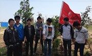 绿色校园，植树造林