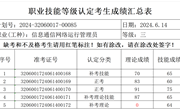 2024年6月14日2024-32060017-00085批次信息通信网络运行管理员三级成绩公示