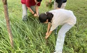 我院开展劳动教育实践活动