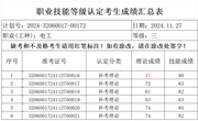 2024年11月27日2024-32060017-00172批次电工三级成绩公示